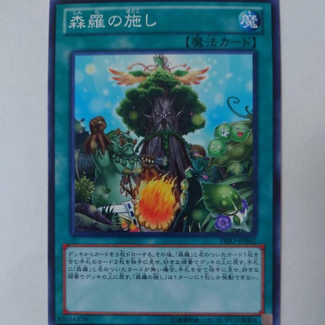 遊戯王 森羅の施し ノーマル < トレーディングカード 遊戯王 森羅の施し ノーマル < トレーディングカードの