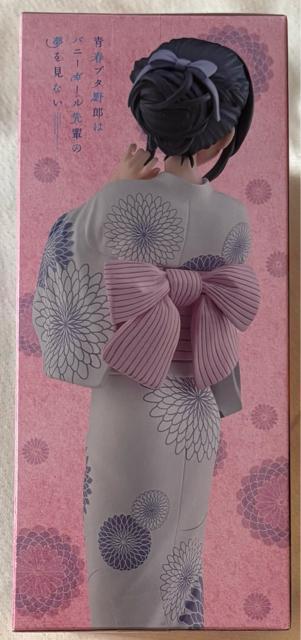 tu^Y oj[K[y̖Ȃ Luminasta  