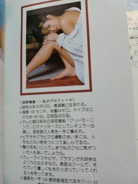 ☆深野晴美 マドンナ メイト写真集  オール カラー < タレントグッズ  ☆深野晴美 マドンナ メイト写真集  オール カラー < タレントグッズの