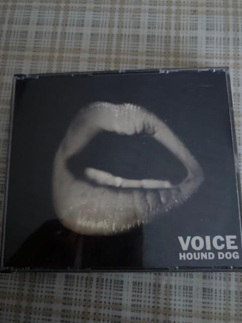新品 ギター・ピック + 中古 2枚組CD ハウンド・ドッグ / VOICE < タレントグッズ  新品 ギター・ピック + 中古 2枚組CD ハウンド・ドッグ / VOICE < タレントグッズの
