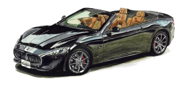 GC-2086Mu/OJuIŉTCLzύƕE  CeA/Ct 