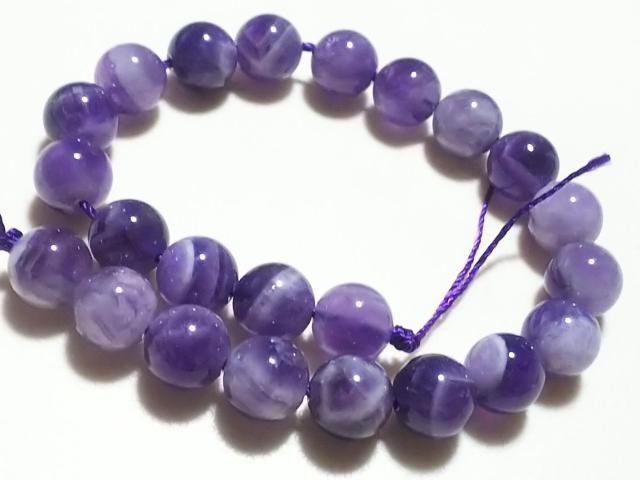 �V�R�΁��V�F�u�����A���W�X�g�@���E���h�W�����@���A  �� �����A�N�Z�T���[/���v�� 