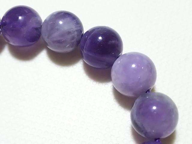 �V�R�΁��V�F�u�����A���W�X�g�@���E���h�W�����@���A �� �����A�N�Z�T���[/���v�� 