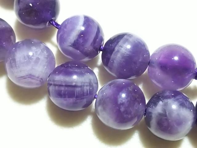 �V�R�΁��V�F�u�����A���W�X�g�@���E���h�W�����@���A �� �����A�N�Z�T���[/���v�� 