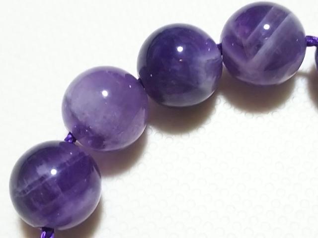 �V�R�΁��V�F�u�����A���W�X�g�@���E���h�W�����@���A �� �����A�N�Z�T���[/���v�� 