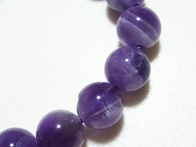 �V�R�΁��V�F�u�����A���W�X�g�@���E���h�W�����@���A �� �����A�N�Z�T���[/���v�� 