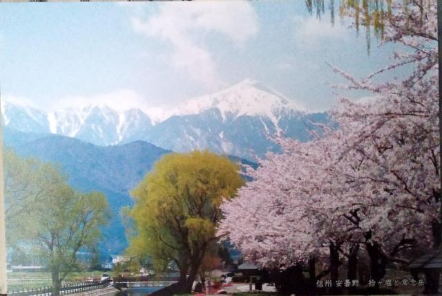 MBAܖ̕iʐ^̃|XgJ[h  zr[ 