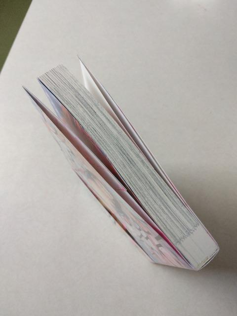 y͏q^Vϊq  Aj/R~bN/LN^[ 