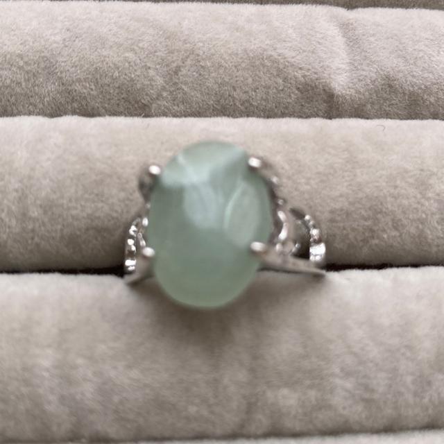 �V�R�Ύw�ց@�����O�@14��  �� �����A�N�Z�T���[/���v�� 