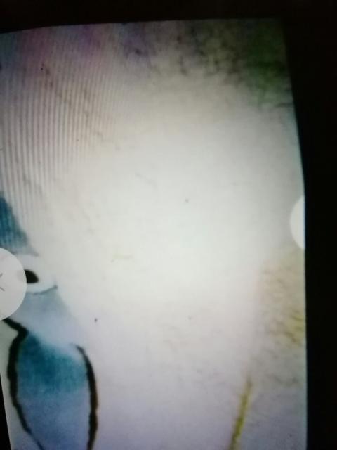 トなリのとドろ(寄り道)やワらカひザがケ70×100p < 女性ファッション  トなリのとドろ(寄り道)やワらカひザがケ70×100p < 女性ファッションの