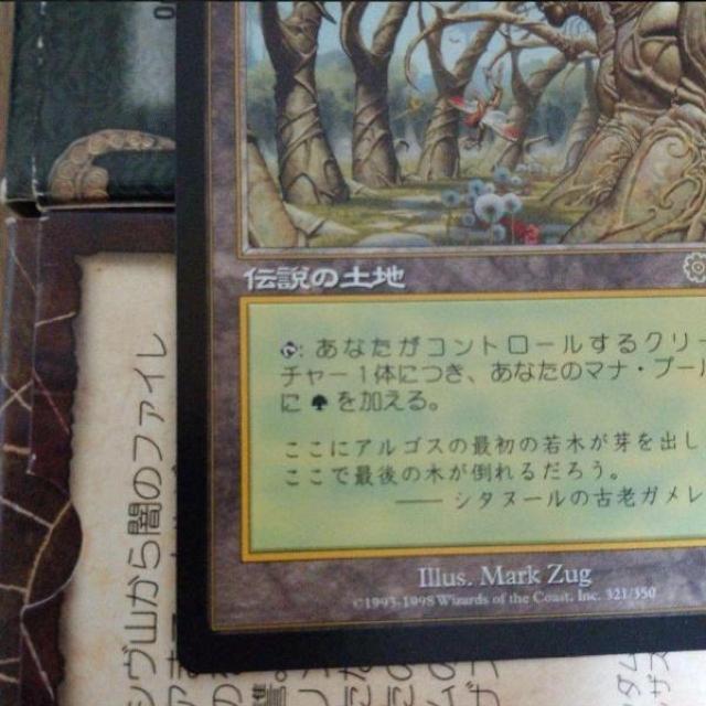 MTG ウルザズ・サーガ ガイアの揺籃の地/Gaea's Cradle 日本語 マジックザギャザリング < トレーディングカード  MTG ウルザズ・サーガ ガイアの揺籃の地/Gaea's Cradle 日本語 マジックザギャザリング < トレーディングカードの