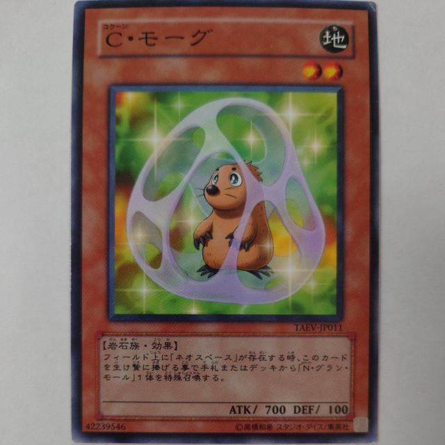 VY@CE[O@m[}   g[fBOJ[h 