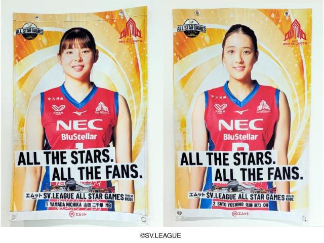 �I��(WOMEN�L���v�e��)�摜����t���b�O �R�c ���ؑI�� �~ ���� �i�T�I��  �� ���W���[/�X�|�[�c�� 