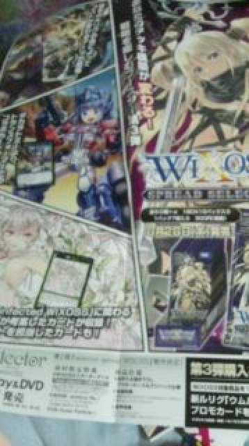ウィクロス 第3弾 宣伝ポスター 羅植カーノ ホーリーアウト コードアートC.V.Y < トレーディングカード  ウィクロス 第3弾 宣伝ポスター 羅植カーノ ホーリーアウト コードアートC.V.Y  < トレーディングカードの