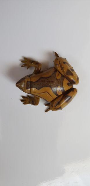 チョコエッグ【カエル】 < ホビー チョコエッグ【カエル】 < ホビーの