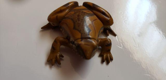 チョコエッグ【カエル】 < ホビー チョコエッグ【カエル】 < ホビーの