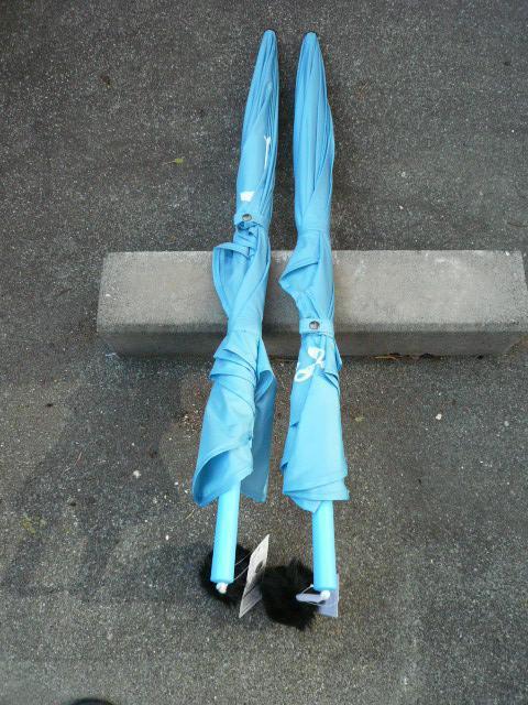 埼玉西武ライオンズ「ヘルメットアンブレラ(晴雨兼用)2本セット」倉 < レジャー/スポーツ  埼玉西武ライオンズ「ヘルメットアンブレラ(晴雨兼用)2本セット」倉 < レジャー/スポーツの