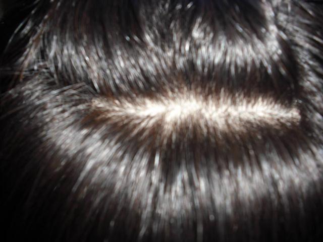 Vi@VNlbg TTo[WwA RFɋ߂_[NuE@MTCY@~fBAO  t@bV 