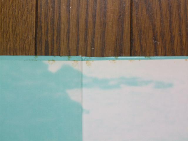 酒井法子 写真集「Blue Peare」! < タレントグッズ 酒井法子 写真集「Blue Peare」! < タレントグッズの