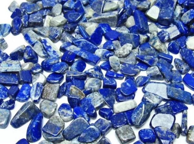 �V�R�΃��s�X���Y�� ������΁y100g�z�����F �� �y�b�g/��|/���|�� 