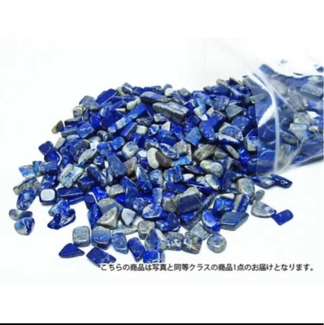 �V�R�΃��s�X���Y�� ������΁y100g�z�����F �� �y�b�g/��|/���|�� 