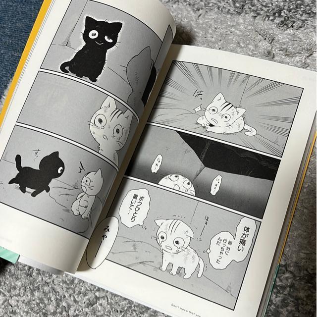 黒猫くろべえ めんどくさいと言わにゃいで! < アニメ/コミック/キャラクター  黒猫くろべえ めんどくさいと言わにゃいで! < アニメ/コミック/キャラクターの