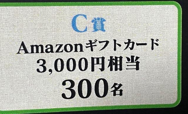 Amazonギフトカード3000円/300名様3口 < チケット/金券  Amazonギフトカード3000円/300名様3口  < チケット/金券の