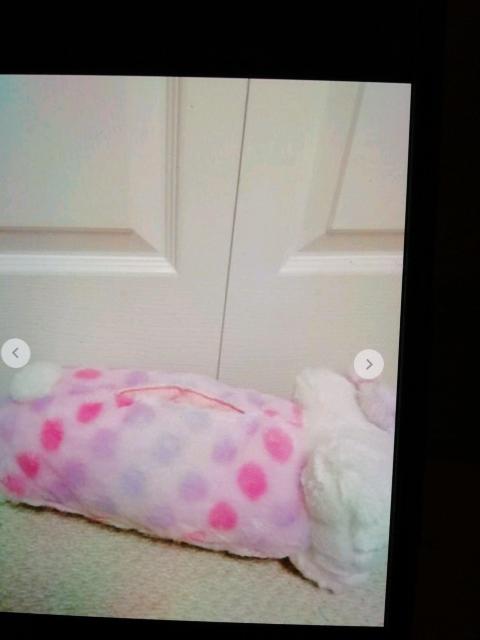 キテぃフェイスドッド柄フワモコてぃッシュかばーピンク系 < 女性ファッション  キテぃフェイスドッド柄フワモコてぃッシュかばーピンク系 < 女性ファッションの