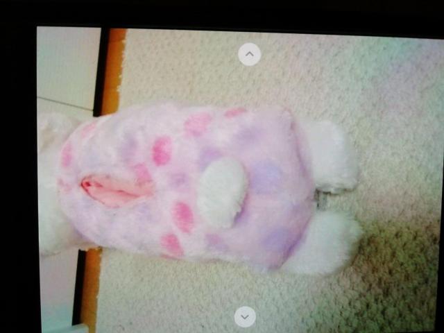 キテぃフェイスドッド柄フワモコてぃッシュかばーピンク系 < 女性ファッション  キテぃフェイスドッド柄フワモコてぃッシュかばーピンク系 < 女性ファッションの