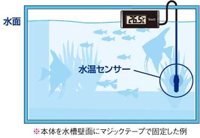 テトラ (Tetra)デジタル水温計 ブラック BD-1 < ペット/手芸/園芸  テトラ (Tetra)デジタル水温計 ブラック BD-1 < ペット/手芸/園芸の