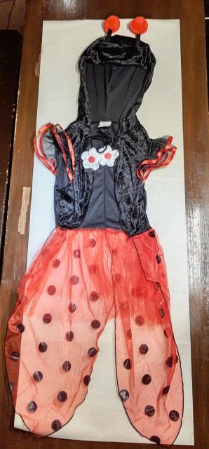 美品★ハロウィン★てんとう虫★ワンタッチ衣装★可愛い★着るだけ★コスプレ★衣装★SNS映え★ハロウィンイベント★簡単衣装★送料無料 < 女性ファッション  美品★ハロウィン★てんとう虫★ワンタッチ衣装★可愛い★着るだけ★コスプレ★衣装★SNS映え★ハロウィンイベント★簡単衣装★送料無料 < 女性ファッションの