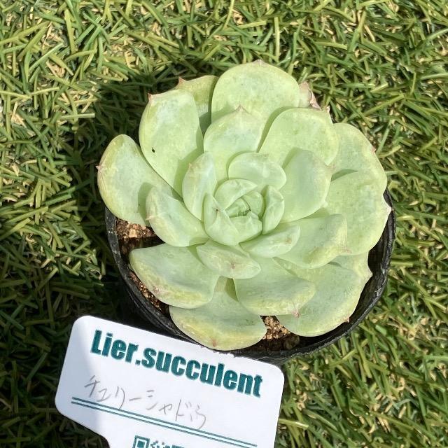 `F[VhE  A c G[c sN   ybg/|/| 