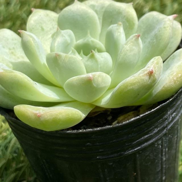 `F[VhE  A c G[c sN  ybg/|/| 