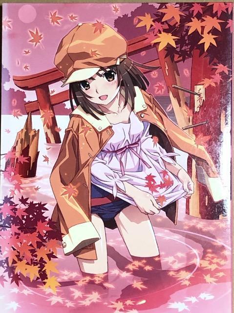  oPmK^(4) ȂłXlCN DVD   CD/DVD/rfI 