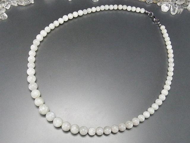 [Xg[VR΃C[dグlbNXl̐6a  ANZT[/v 