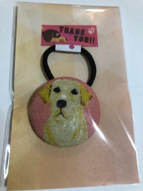 nhCh wAS ݃{^ uh[  t@bV 