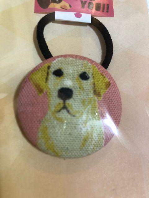 nhCh wAS ݃{^ uh[  t@bV 