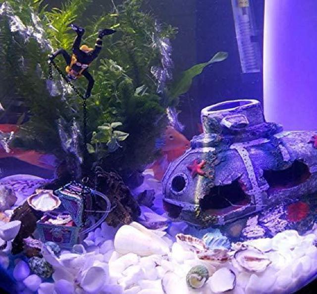 p IuWF Ñ  _a  ANAE I[ig       BƂ ()  ybg/|/| 