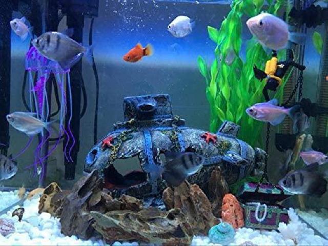 p IuWF Ñ  _a  ANAE I[ig       BƂ ()  ybg/|/| 