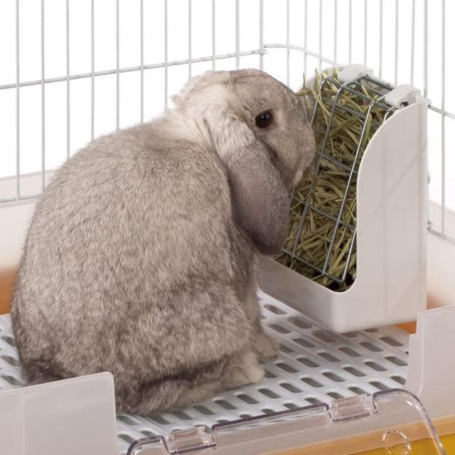 }J qpGRtB[_[  ybg/|/| 