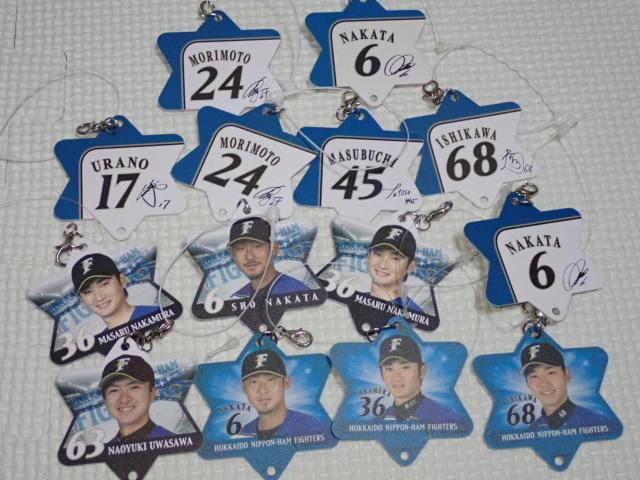 {nt@C^[Y X^[v[g 14Zbg   W[/X|[c 