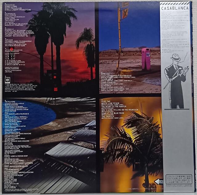 LP(帯付)バーティー・ヒギンズ(Bertie Higgins)/ジャスト・アナザー・デイ・イン・パラダイス070726 < CD/DVD/ビデオ  LP(帯付)バーティー・ヒギンズ(Bertie Higgins)/ジャスト・アナザー・デイ・イン・パラダイス070726 < CD/DVD/ビデオの