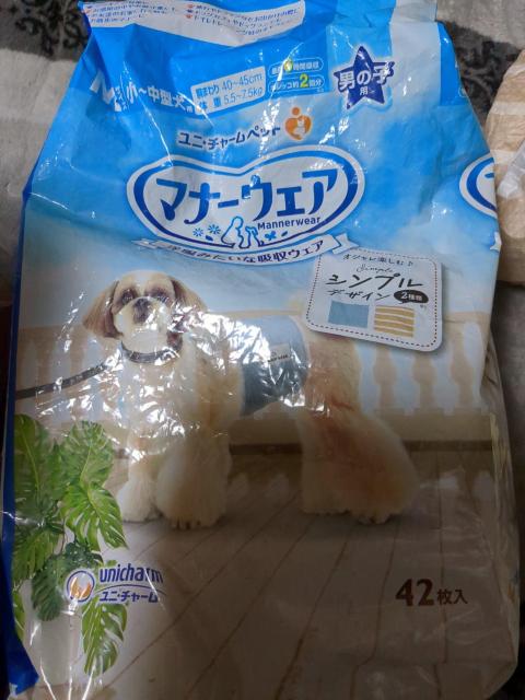 オムツ(男の子用) < ペット/手芸/園芸 オムツ(男の子用) < ペット/手芸/園芸の