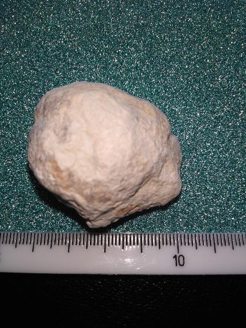 �����b�R�Y�W�H�[�h �� �z�r�[�� 