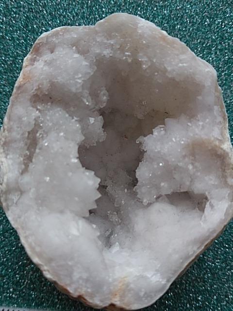 �����b�R�Y�W�H�[�h �� �z�r�[�� 