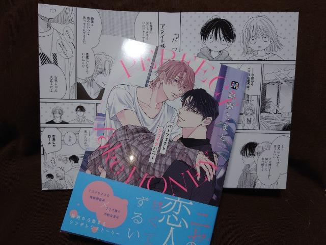 BL�����[�t���b�g�t�y�p�[�t�F�N�g�t�F�C�N�n�j�[�z���c�Ƃ܂� 