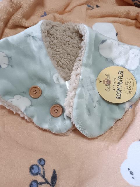 V}GiK̃[}t[gpi   CeA/Ct 