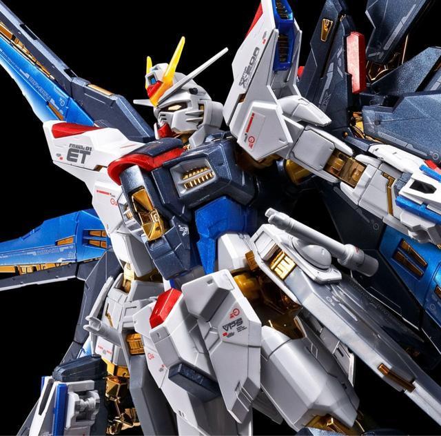 限定 RG  ストライクフリーダムガンダム チタニュウムフィニッシュ < ホビー  限定 RG  ストライクフリーダムガンダム チタニュウムフィニッシュ < ホビーの