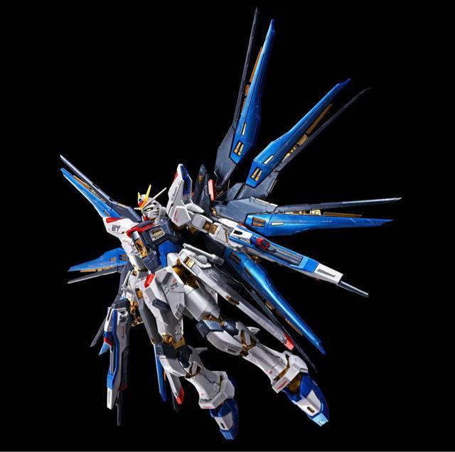 限定 RG  ストライクフリーダムガンダム チタニュウムフィニッシュ < ホビー  限定 RG  ストライクフリーダムガンダム チタニュウムフィニッシュ < ホビーの