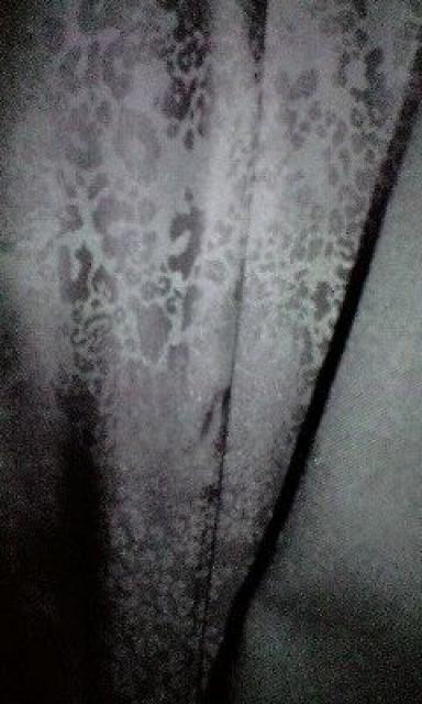 ROENG X^XJe[[hWPbg 46  uh 